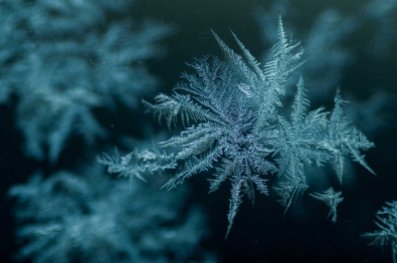ice flower, winter, snow, Schnee, frost, art, Kunst, detail, Makro, macro, Kristall, beauty