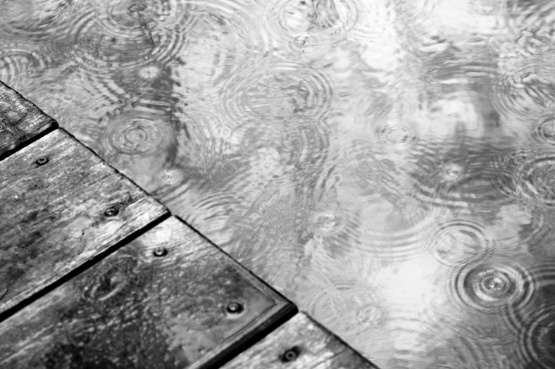 Regentage, rain, drops, Holz, b&w, schwarz-weiß, minimal
